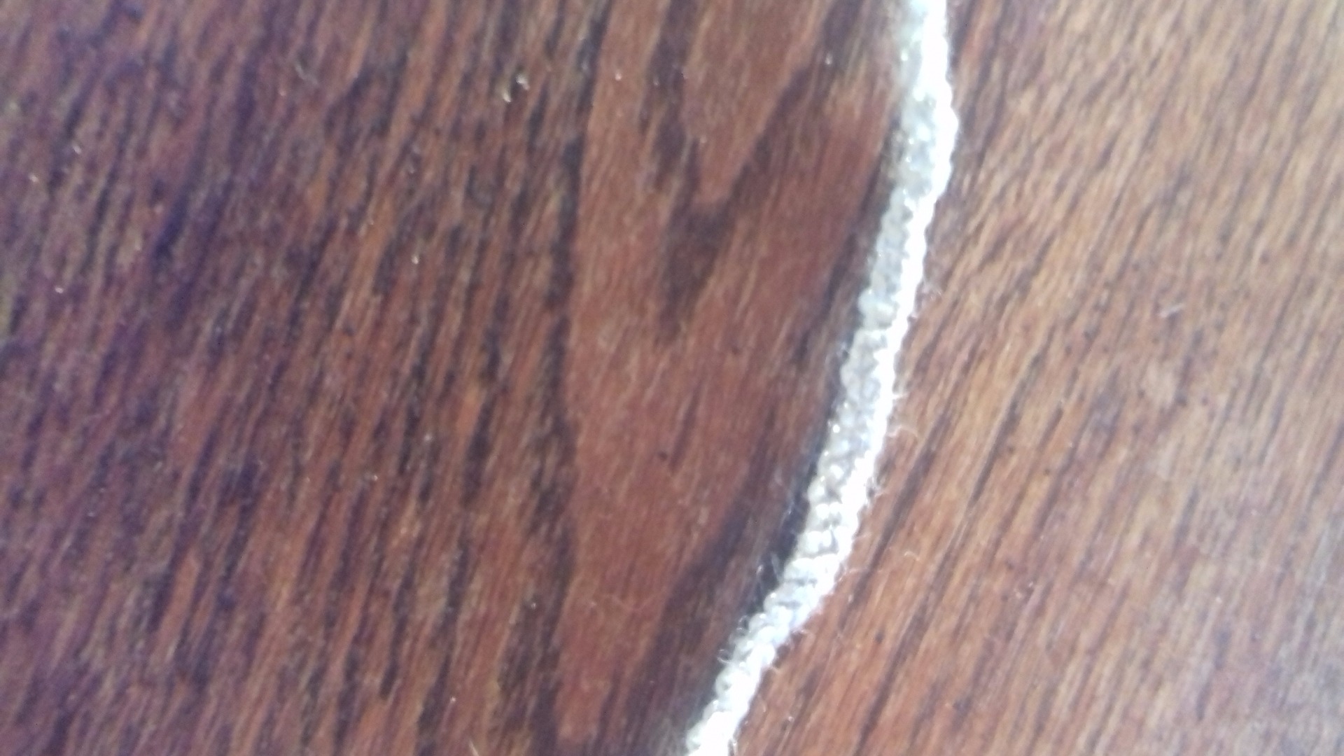 kan gebruiken als armbandje en bandje voor hond licht grijs met glitters